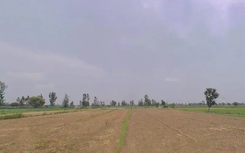 Pali, Uttar Pradesh 244304, India preview 3