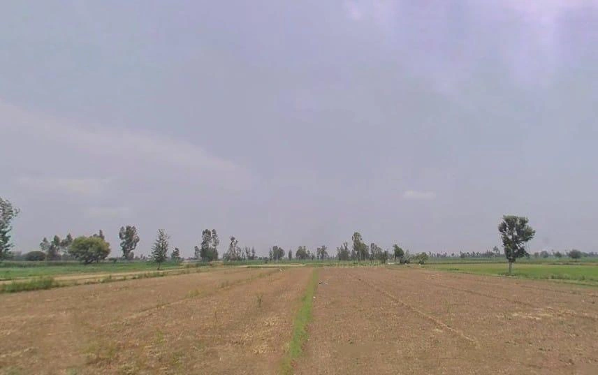 Pali, Uttar Pradesh 244304, India