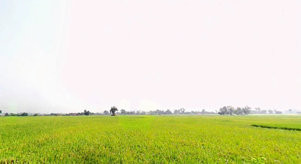 Agricultural Land in Rata/fulliduma, Banka