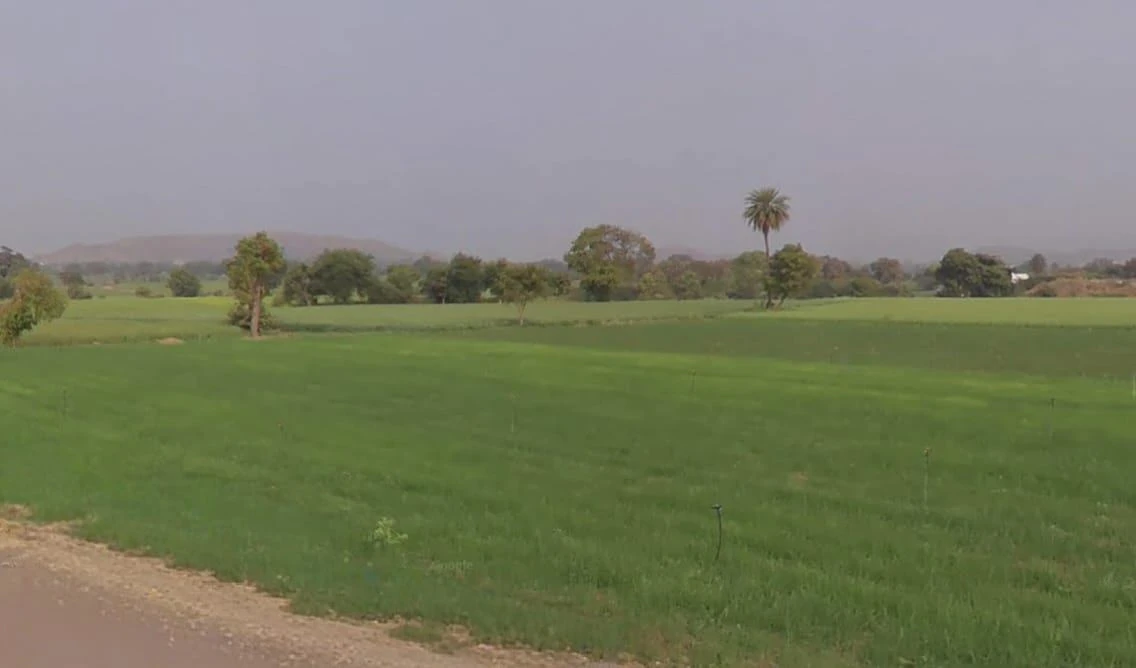 Ronsara, Madhya Pradesh 487330, India