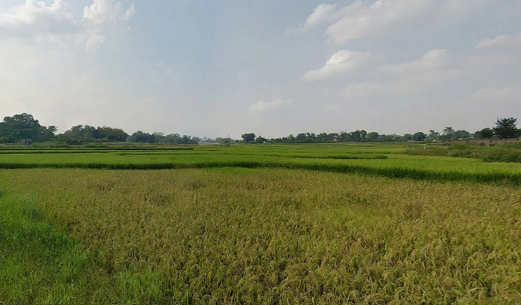 9CHP+CJ, Tatisilwai, Jharkhand 835103, India