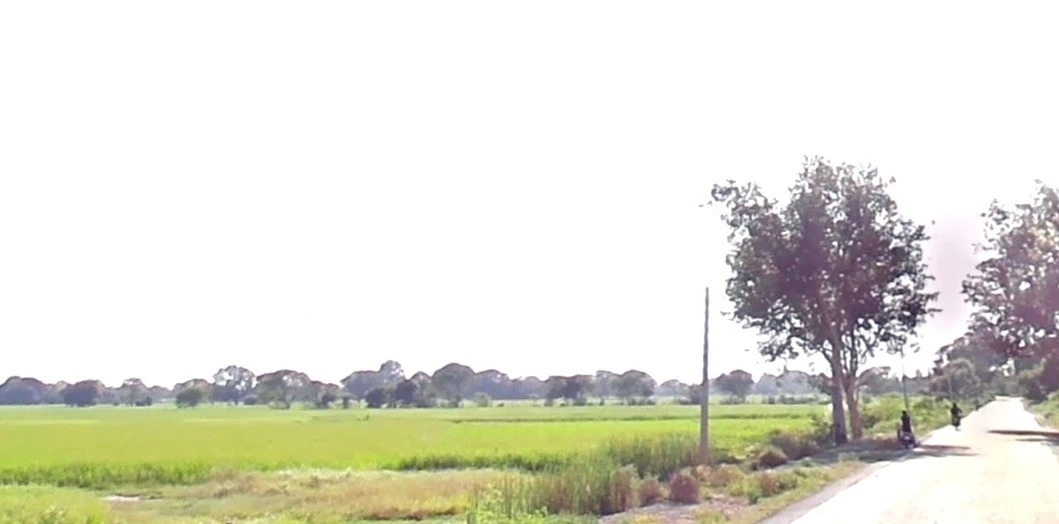 Jaora, Madhya Pradesh 457226, India