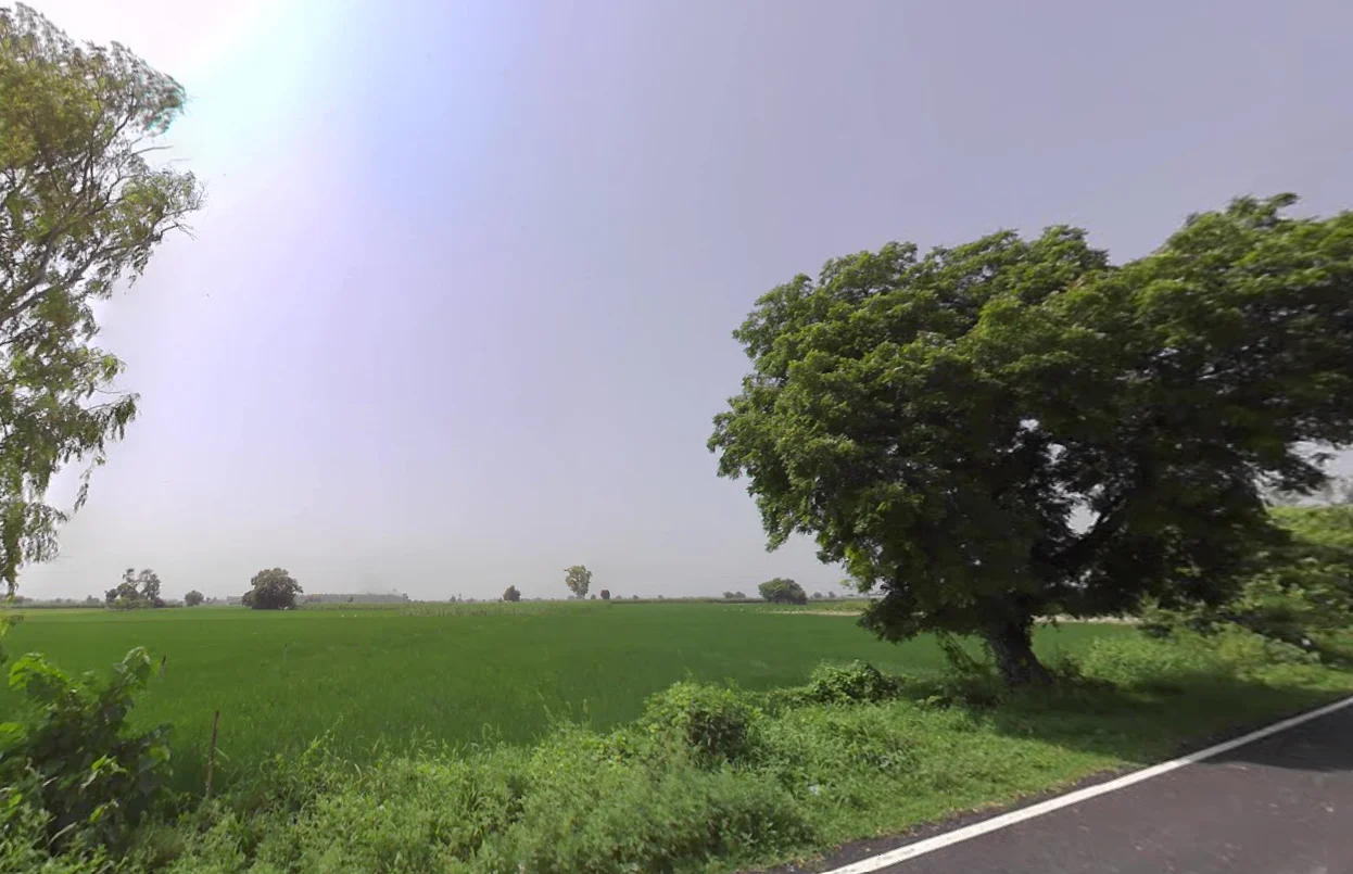 Hathwala, Haryana 132115, India preview 2