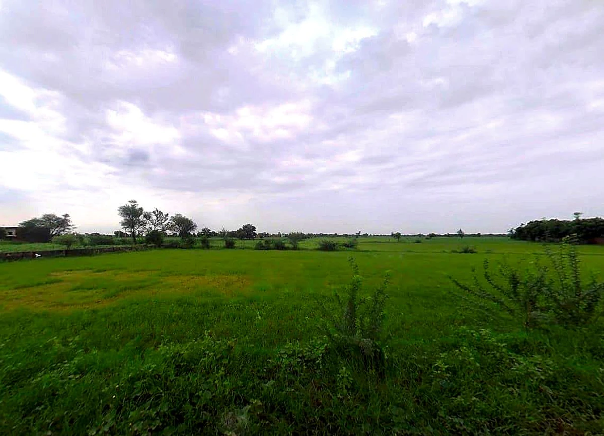 Sikari, Rajasthan 321024, India