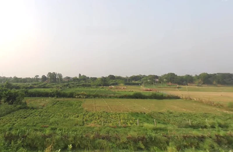 Agricultural Land in Chauri chaura / jhangaha, Gorakhpur