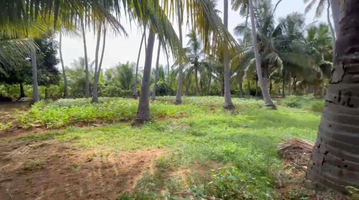 Madurai, Tamil Nadu, India