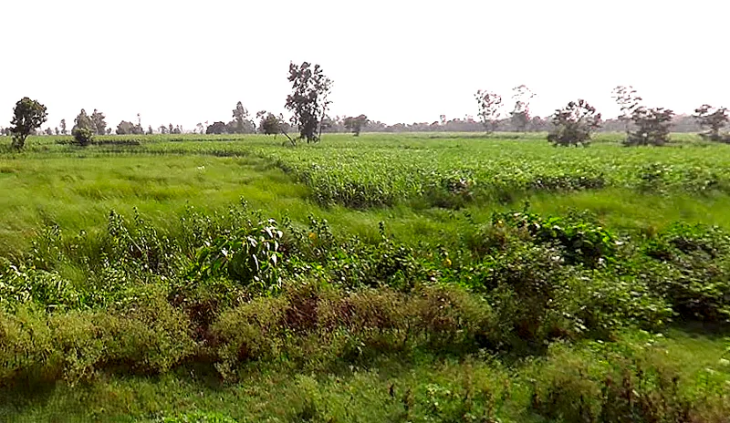 NH 730, Maharaj Nagar, Lakhimpur, Uttar Pradesh, India preview 2