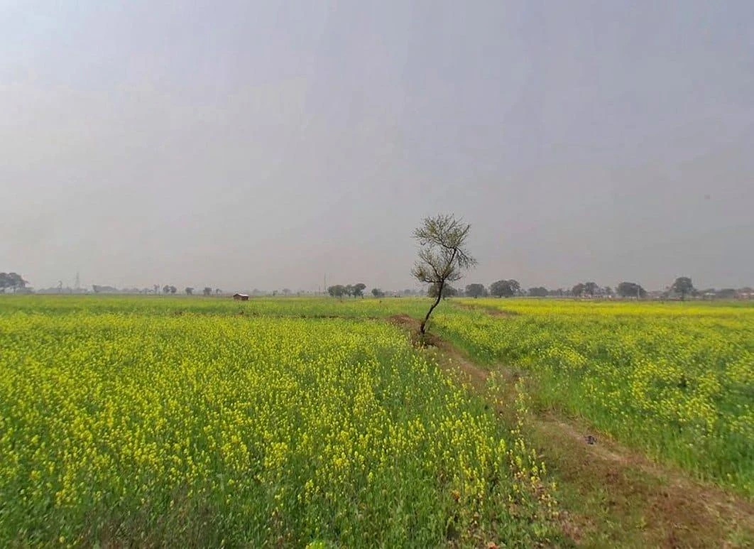 Rewa, Madhya Pradesh, India