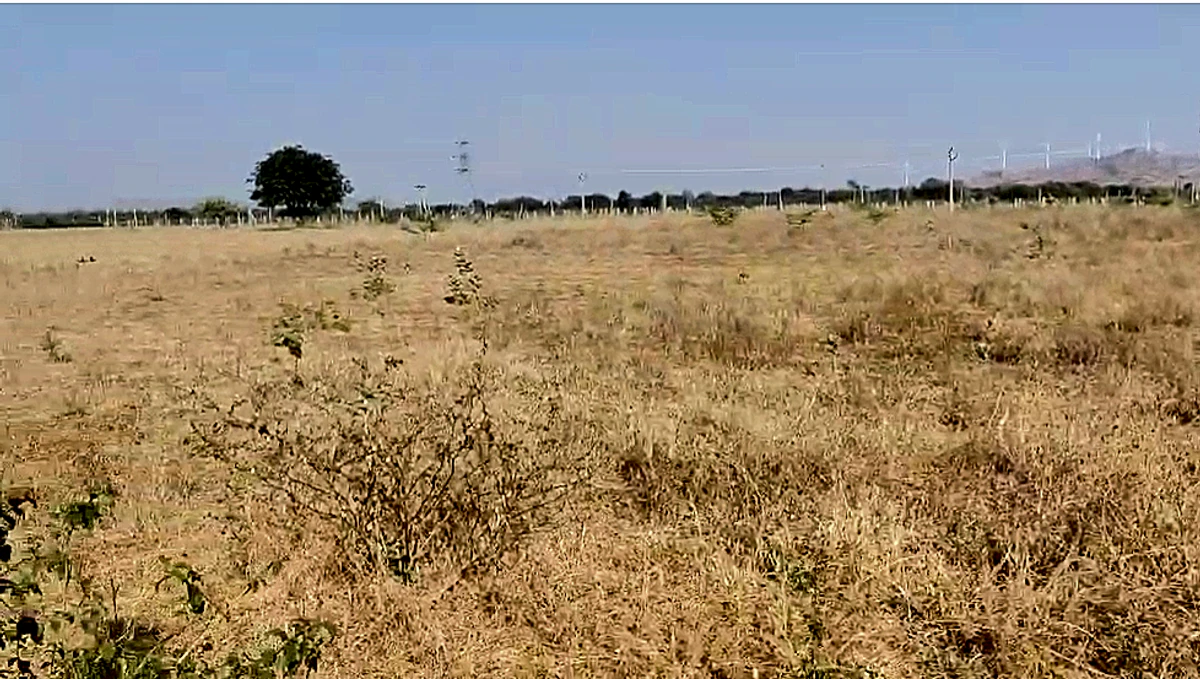 Thurakalapatnam, Andhra Pradesh 515123, India