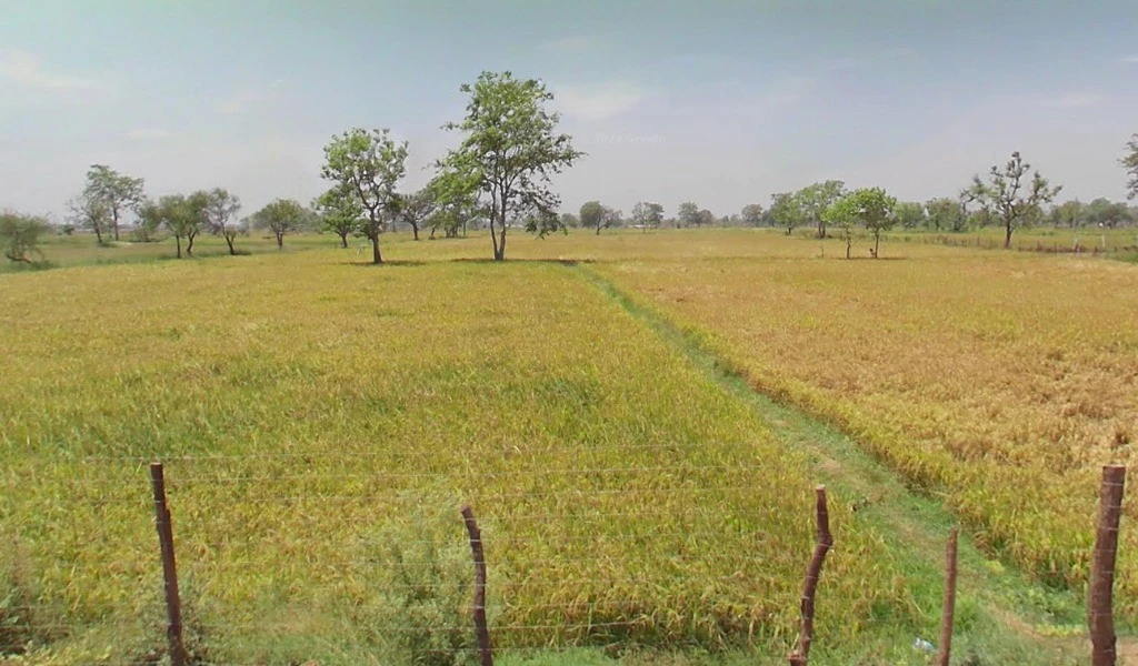 Pithora, Chhattisgarh 493551, India