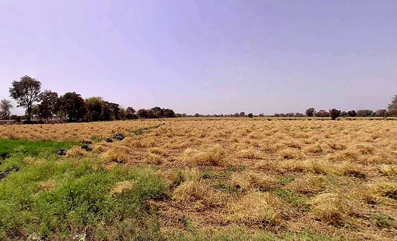 Phulra, Madhya Pradesh 475661, India preview 3