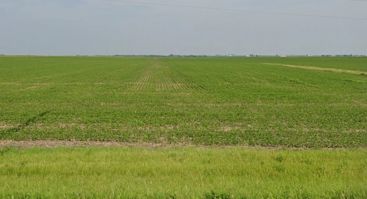 Chinor, Madhya Pradesh 475110, India