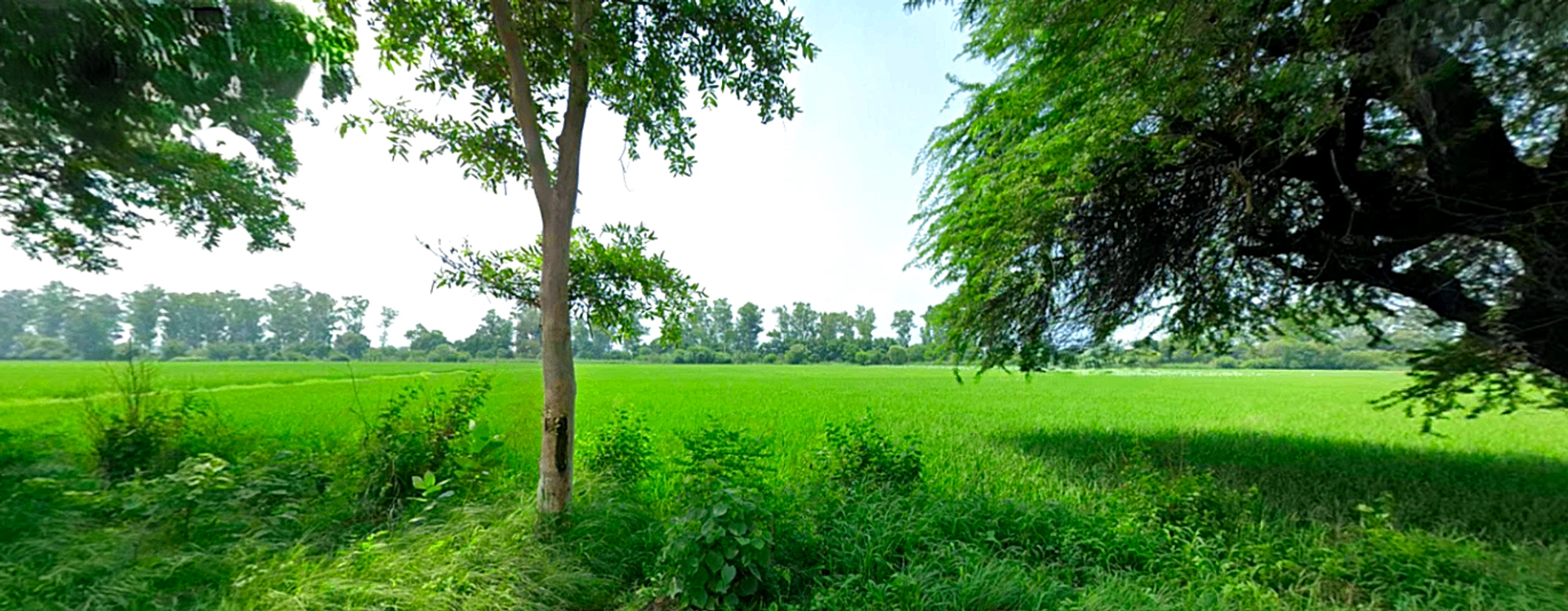 Raipur Rani, Haryana 134204, India