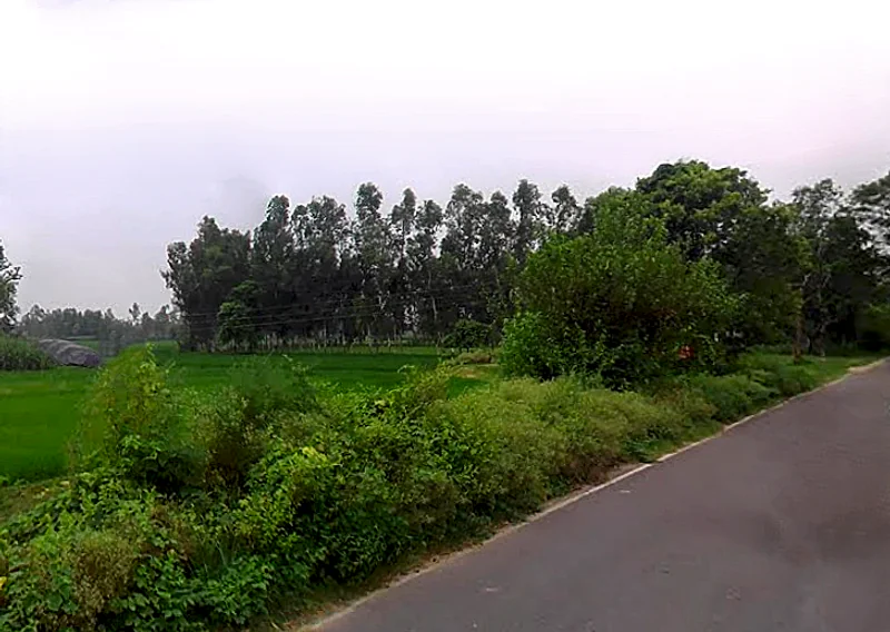 Agricultural Land in Garapur / urf rustampur, Amroha