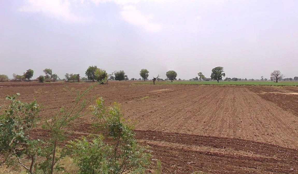 5VC9+3F9, Pitamali, Madhya Pradesh, India