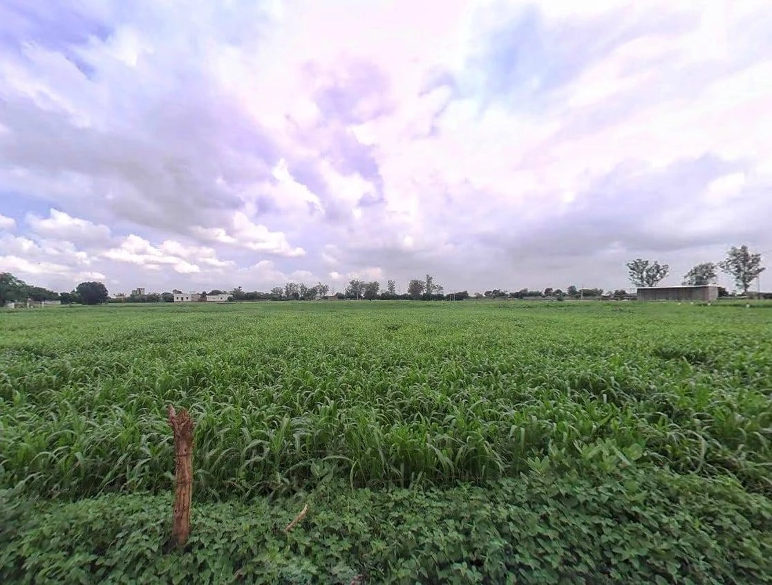 Bansi Khurd, Rajasthan 321303, India