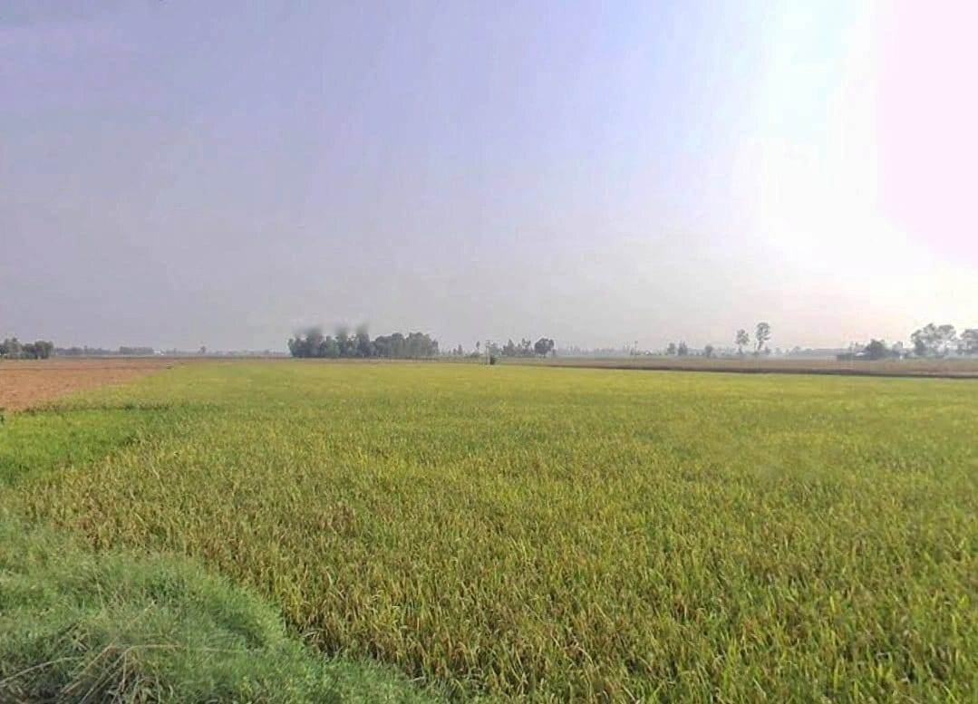 VV7P+PR Bhagchuri, Uttarakhand, India