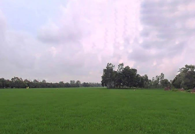 HV9J+855, Bithaura Kalan, Uttar Pradesh 262001, India