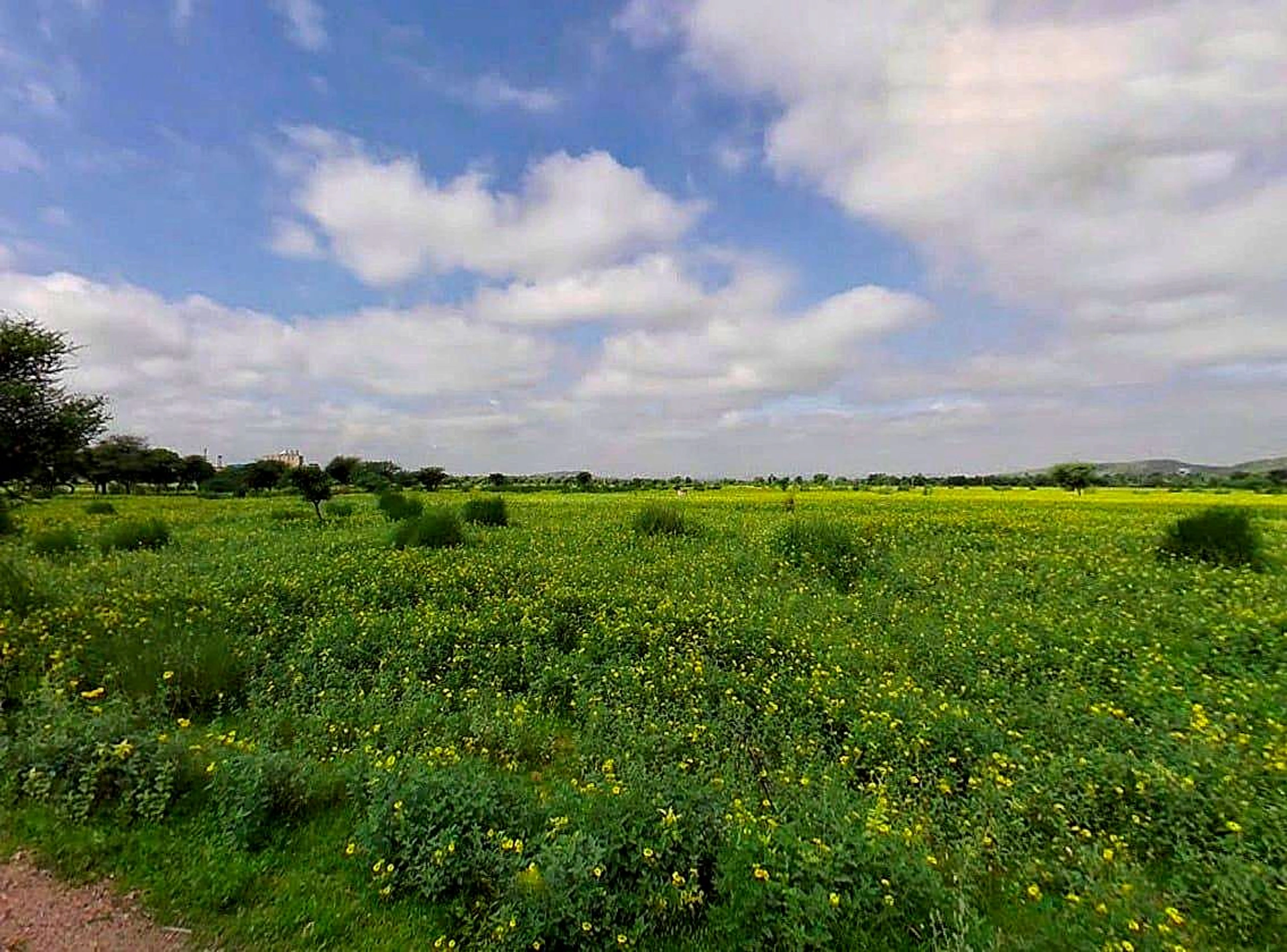 Bagru, Rajasthan 303007, India