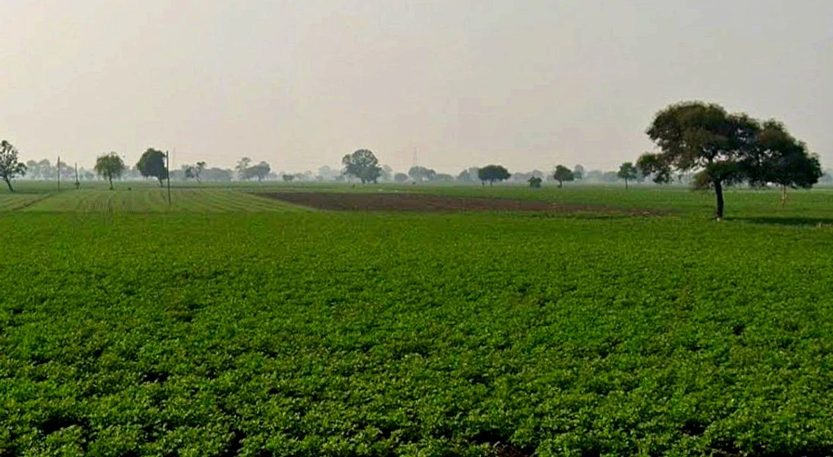 Kopal, Bhopal, Madhya Pradesh 462044, India