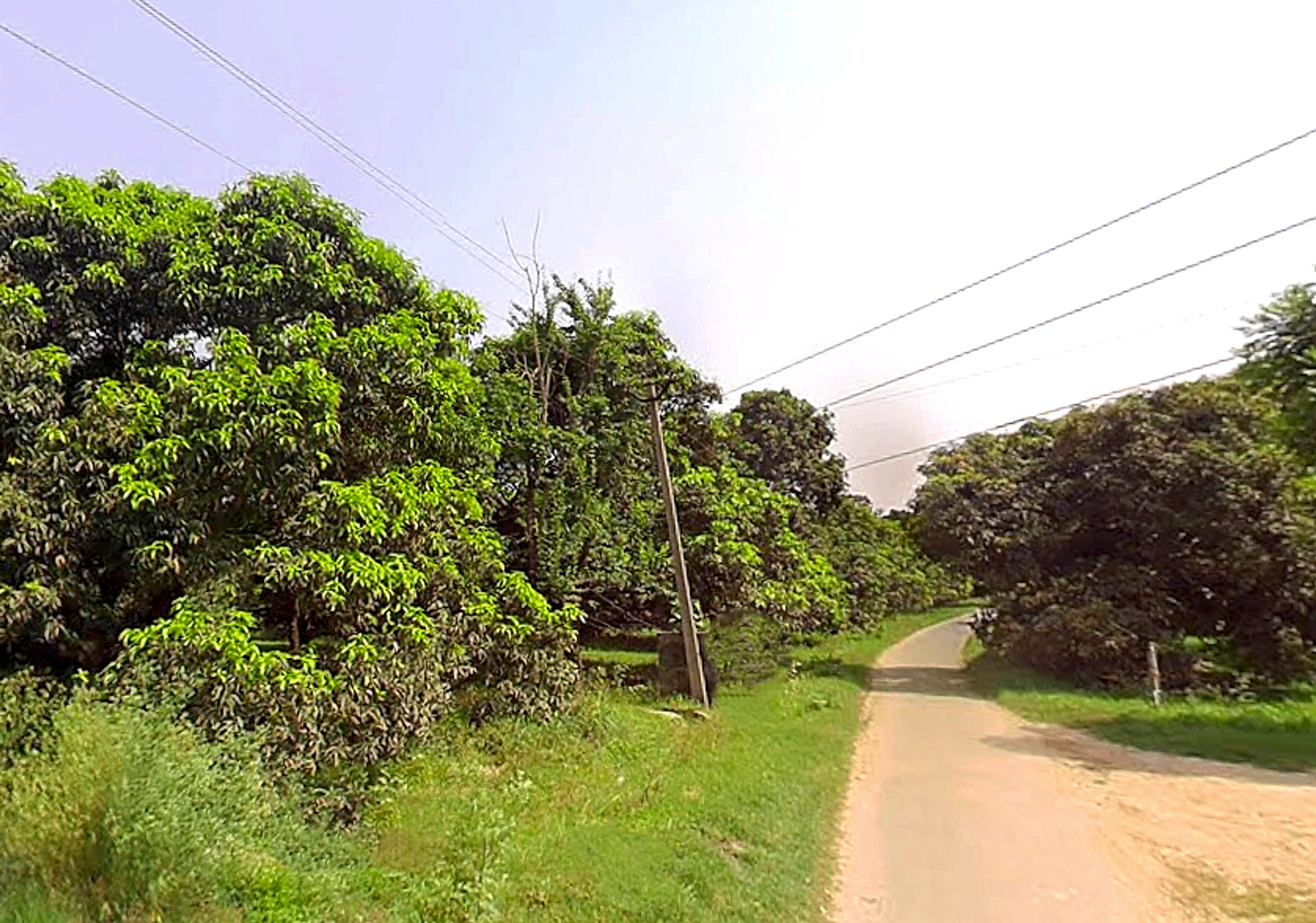 Siyana, Uttar Pradesh 203412, India