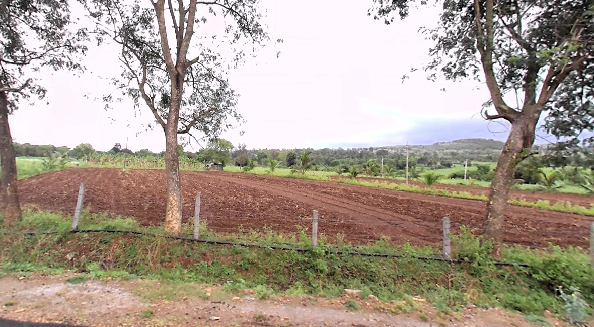 Begurjungle, Karnataka 571116, India