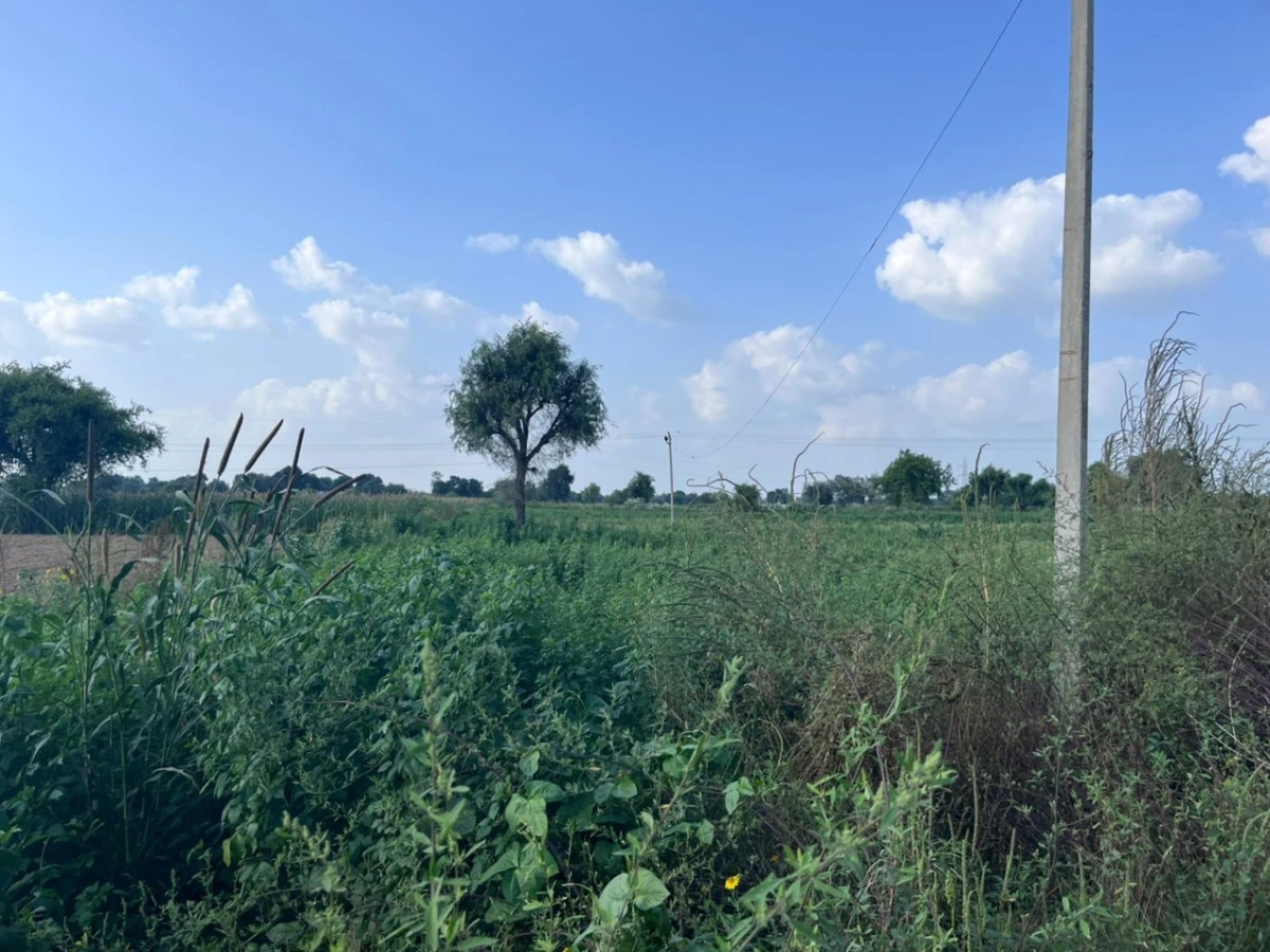 WH3F+G74, Khedaro Ki Dhani, Rajasthan 333022, India