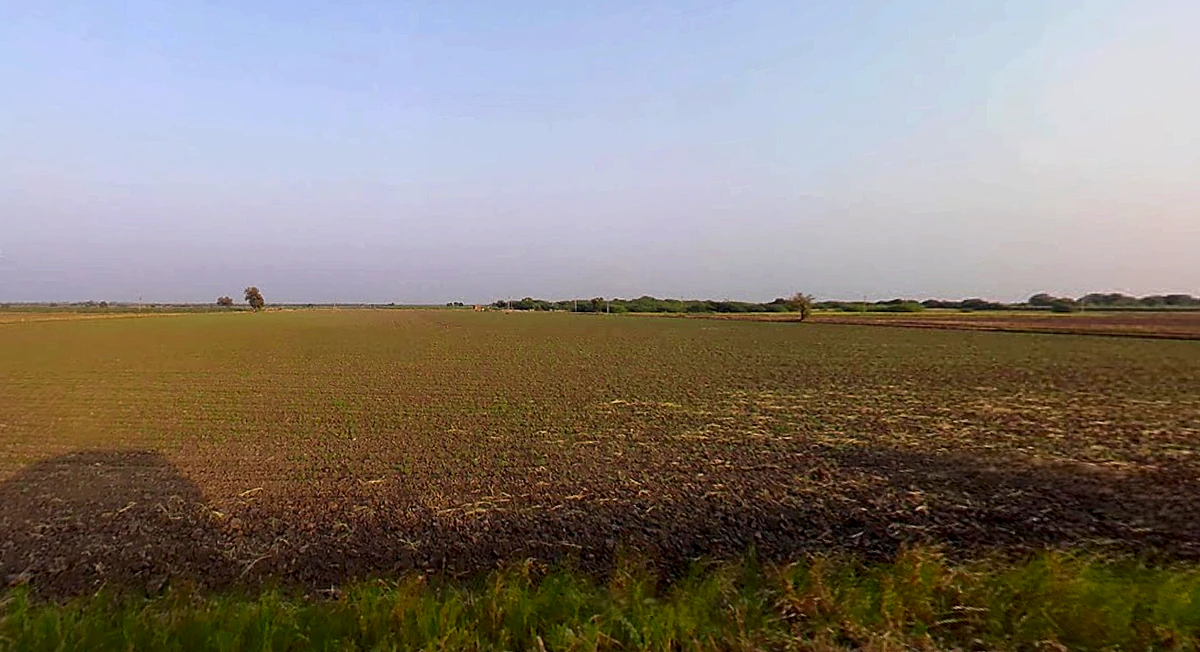 Dhanfuliya, Gujarat 362205, India