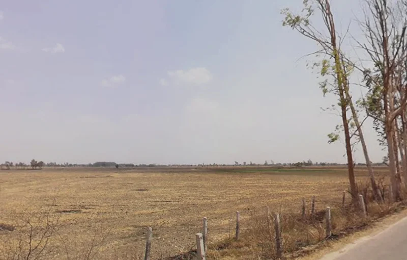 Bass, Haryana 125042, India preview 2