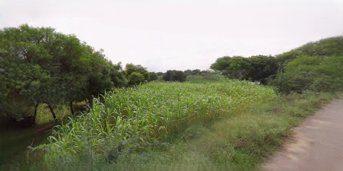 Sri Ganganagar, Rajasthan, India