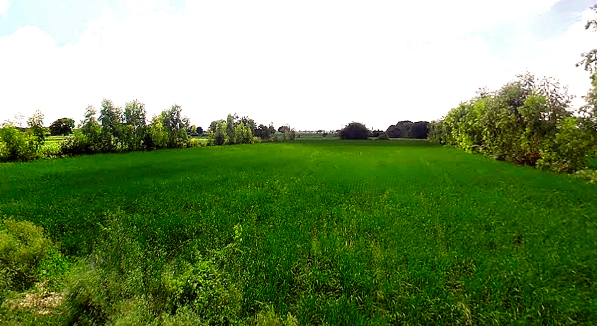 Ismailpur, Uttar Pradesh 202280, India