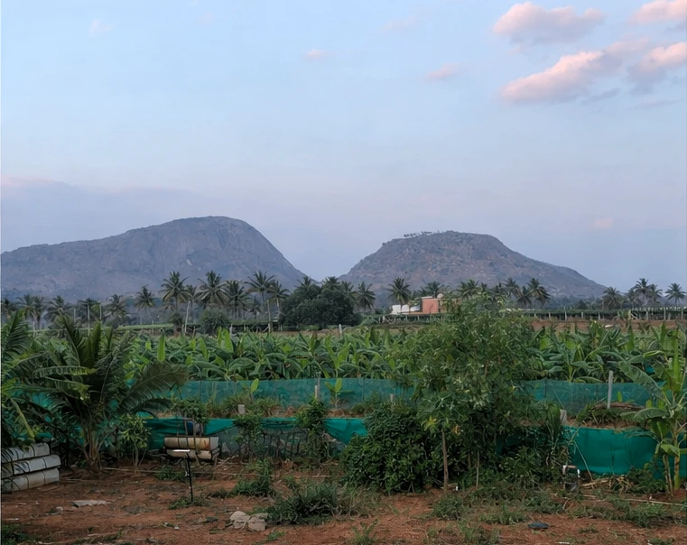9MW3+48 Nandi Hills, Karnataka, India