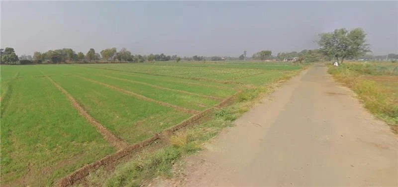 Roziya, Gujarat 361210, India