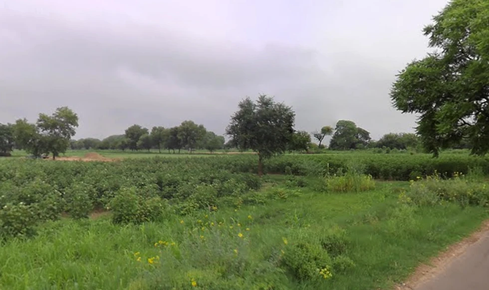 Hisar, Haryana, India