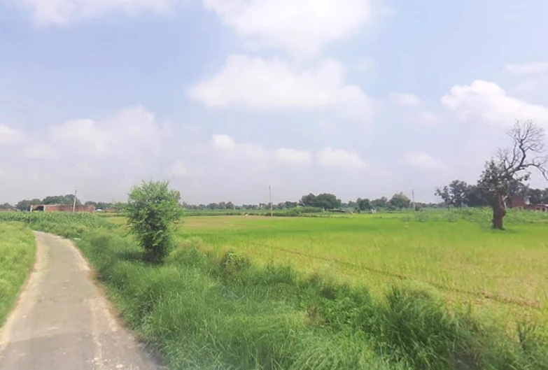 69JQ+M56, Bahadurgarh, Barai Garh, Uttar Pradesh 209401, India
