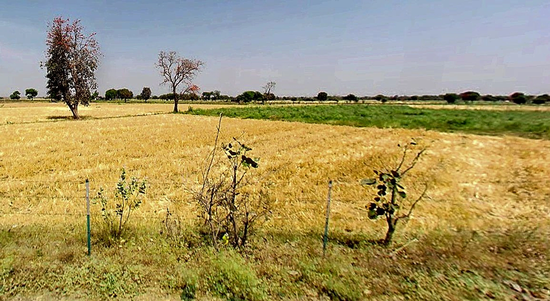Ratnakhedi, Madhya Pradesh 466111, India