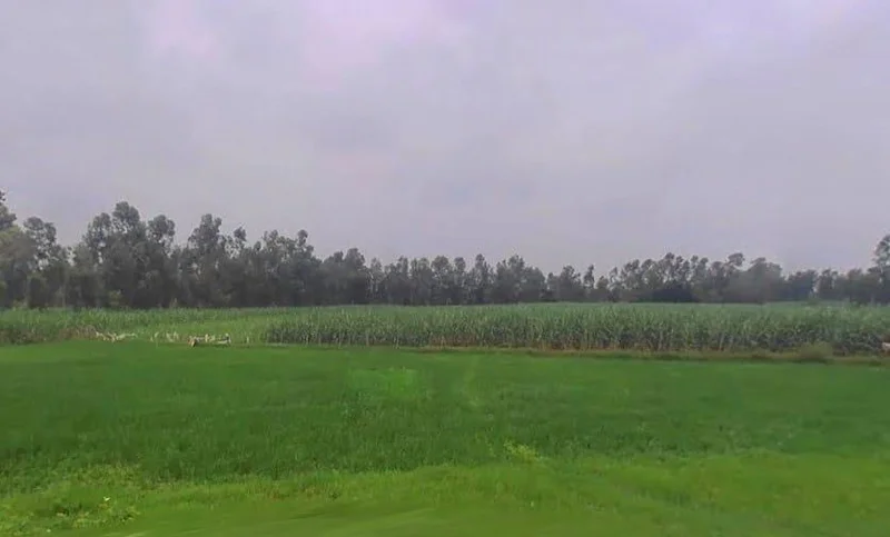 Sitapur, Uttar Pradesh, India preview 3