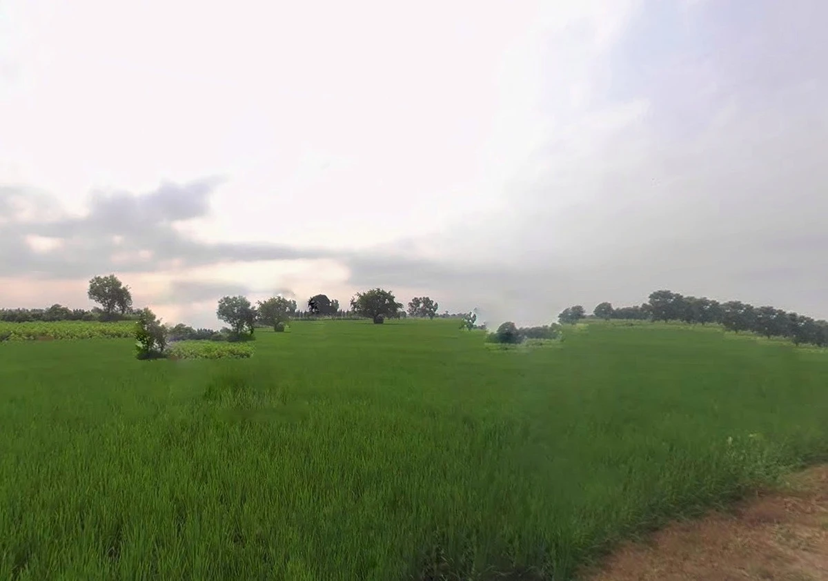 Bihta, Bihar 801103, India