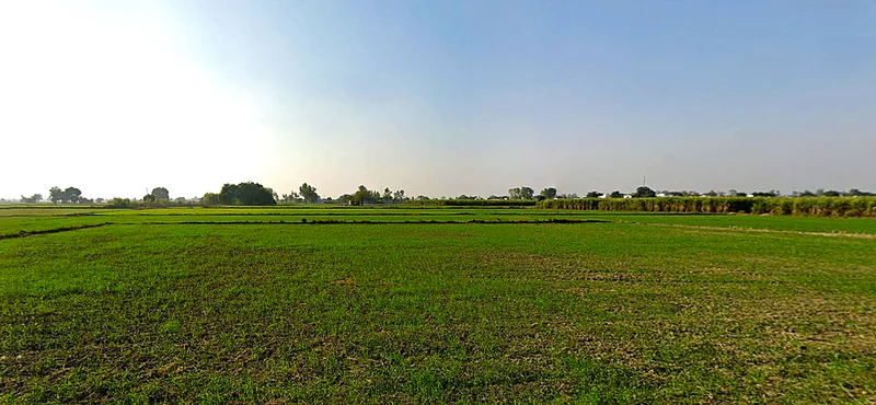 Pharala, Punjab 144503, India preview 3