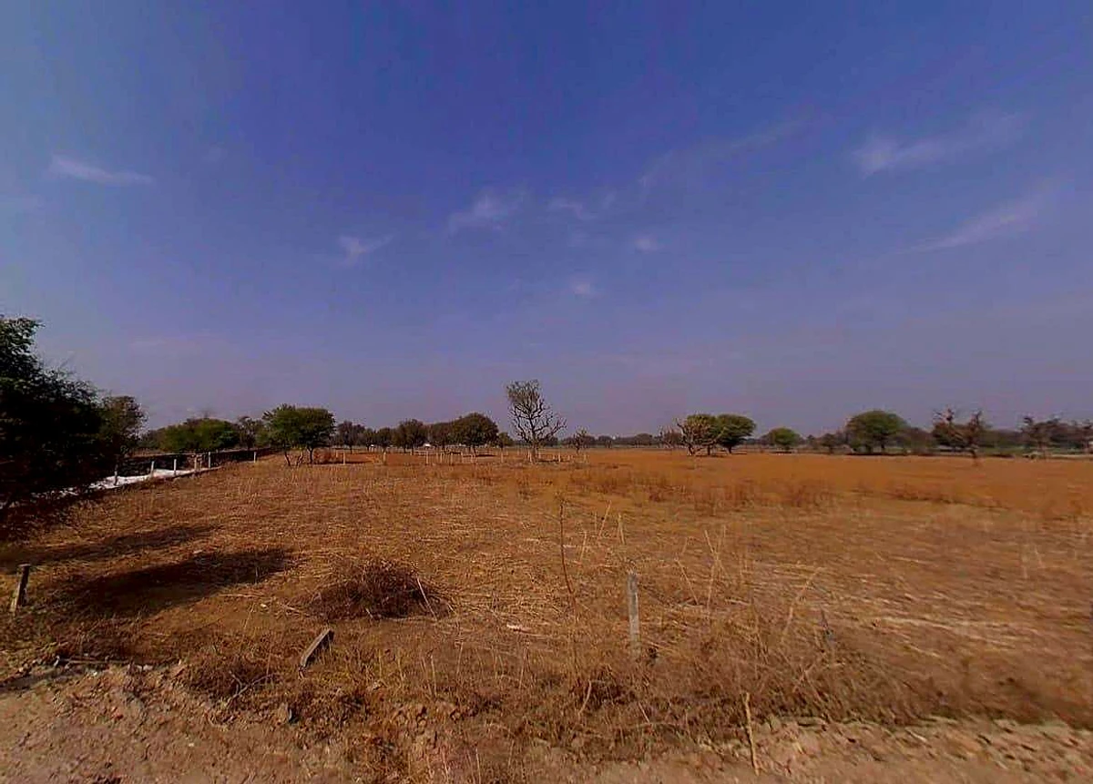 QJPF+M23, Kalwara, Rajasthan 302037, India