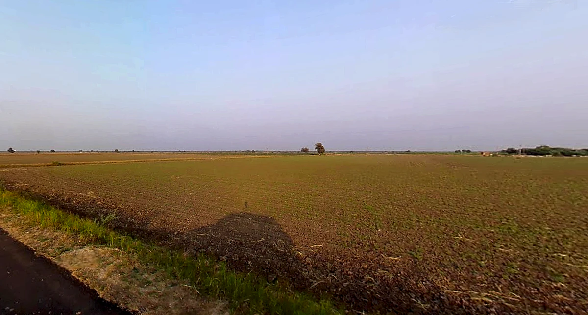 Dakor, Gujarat 388225, India