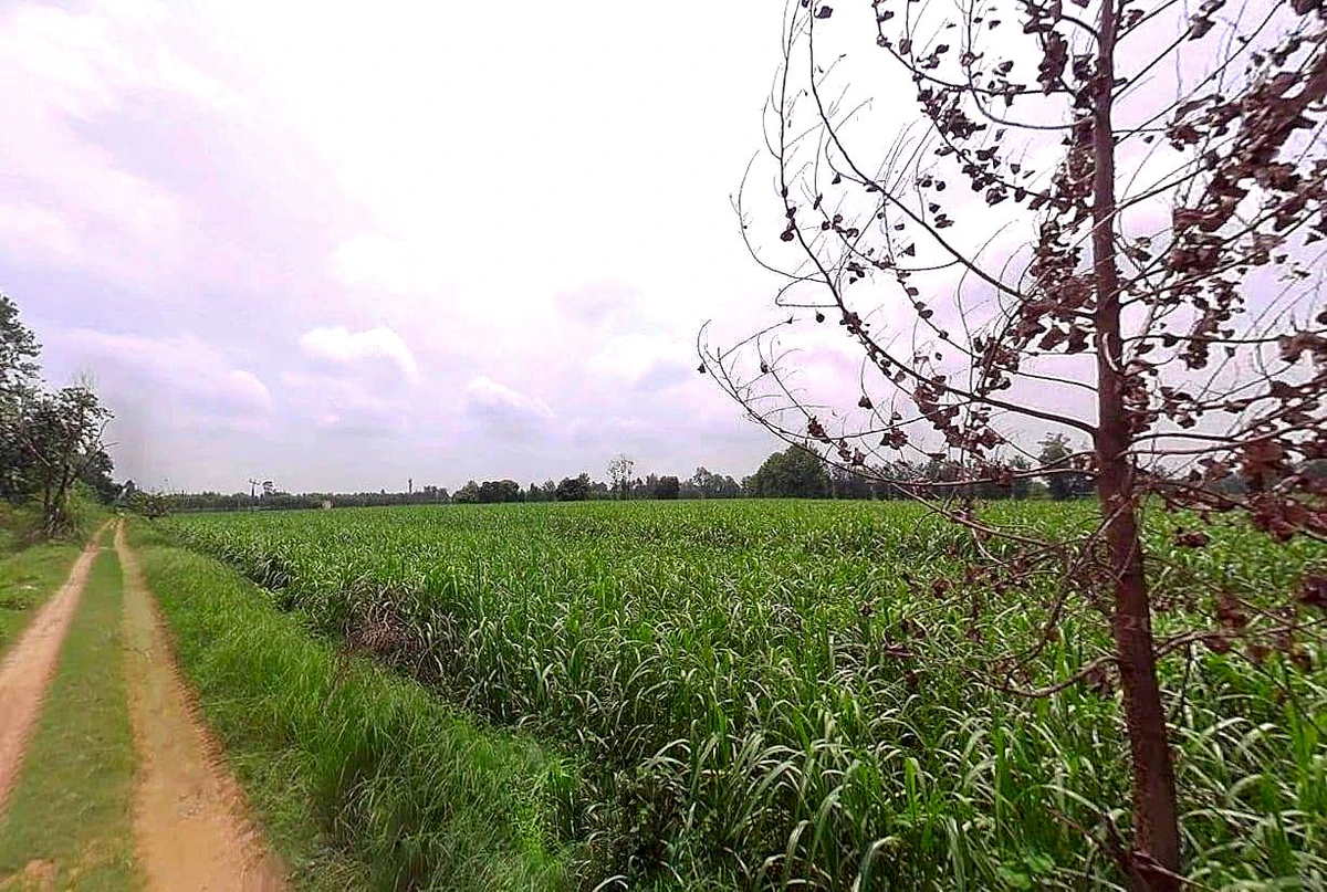 Modinagar, Uttar Pradesh, India