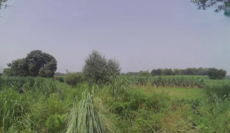 Lalpur, Uttar Pradesh, India preview 2