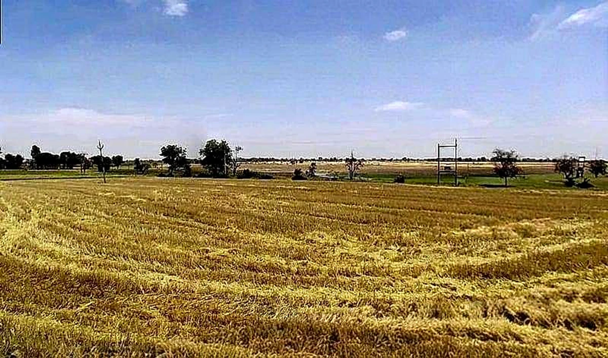 Lakhakhedi Naharpur, Madhya Pradesh 456443, India