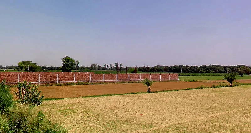 Jhande, Punjab, India preview 3