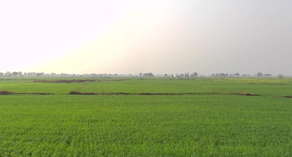 Chhimak, Madhya Pradesh 475110, India