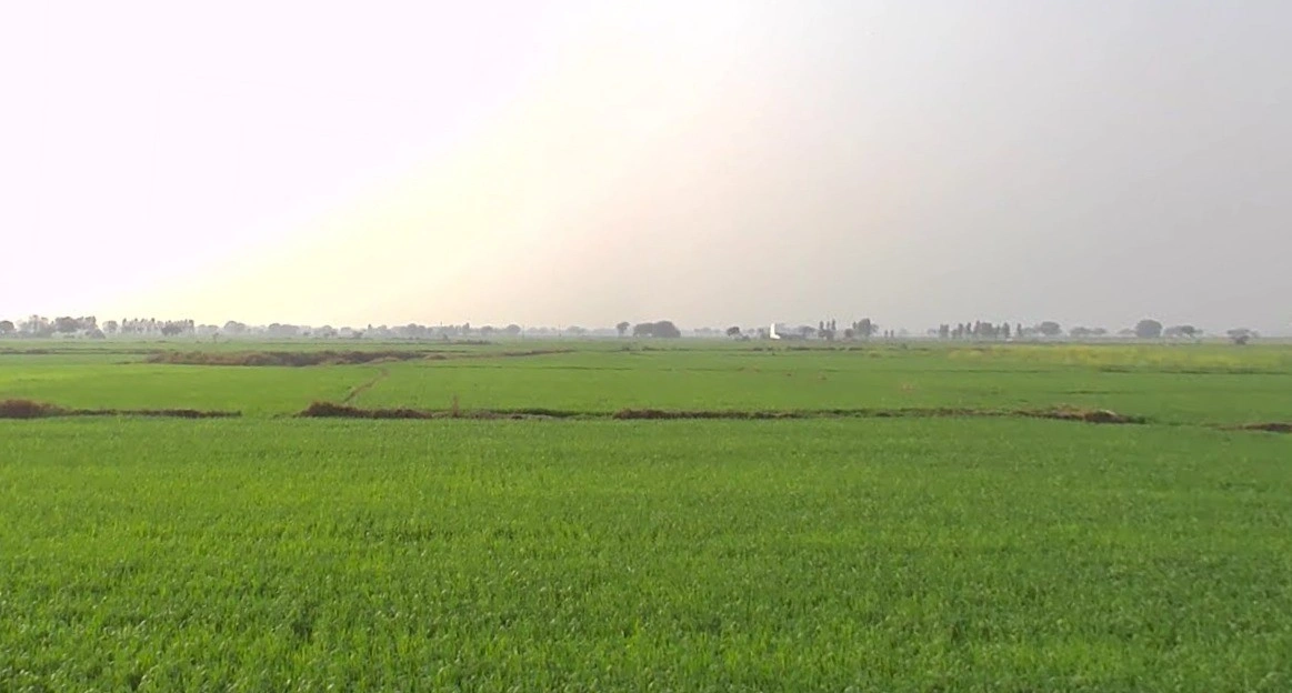 Chhimak, Madhya Pradesh 475110, India