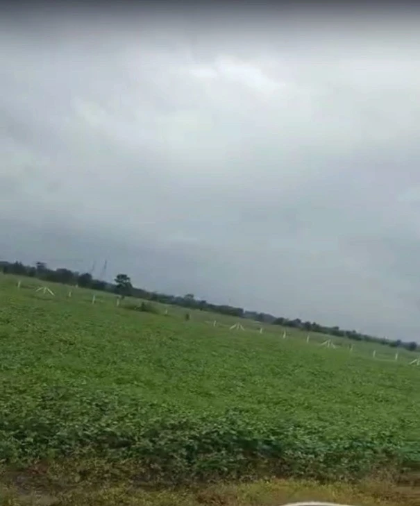 Barkheda Jat, Madhya Pradesh 458220, India