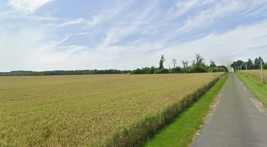 Pandhanya, Madhya Pradesh 451001, India