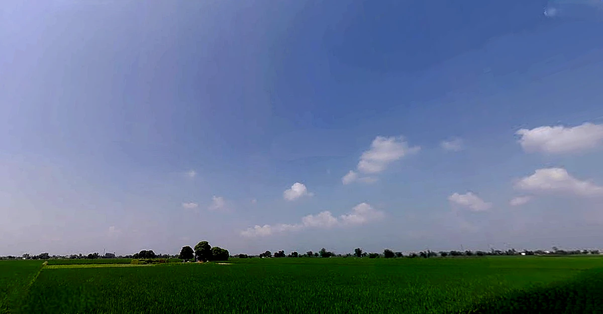 Rajpura, Punjab, India